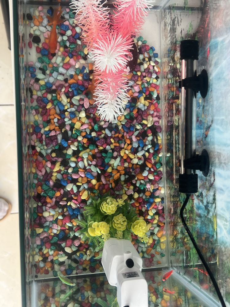 Akvarium hamma jihozlari bilan sotiladi