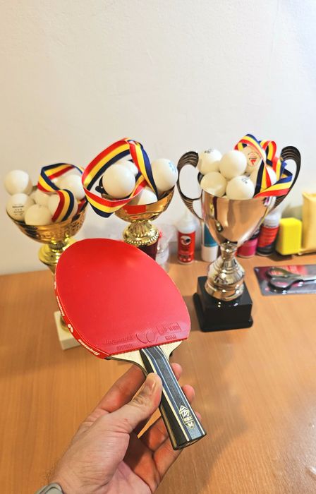 Paletă Butterfly Fan Zhendong Super ALC cu Dignics 05 NOI