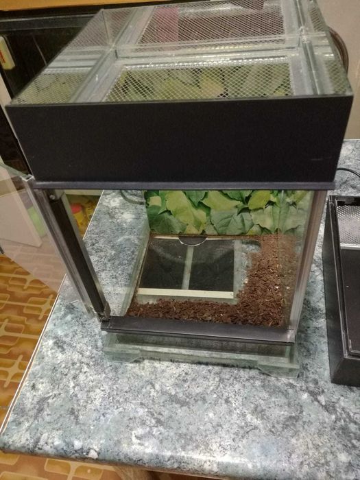 Nanoterariu de vânzare