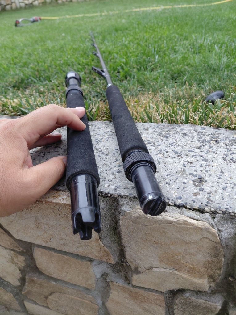 Въдица за рибов на сом Shimano beastmaster graphite BM 703050R 30-50l