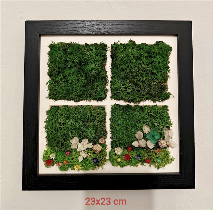 Tablou "La fereastra" din plante și mușchi stabilizati