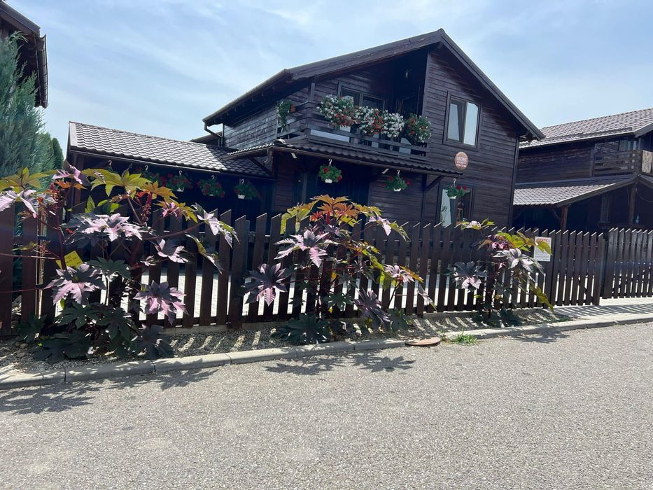 Cabană de închiriat