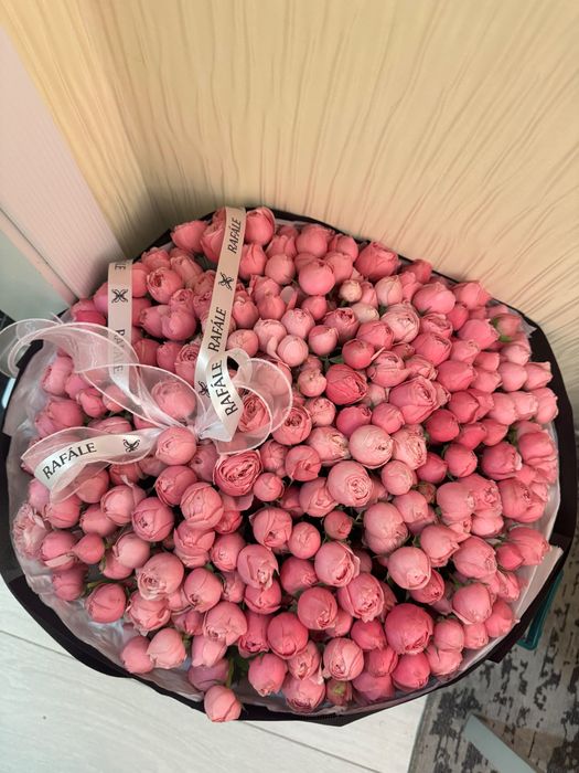 Продам Цветы пионы