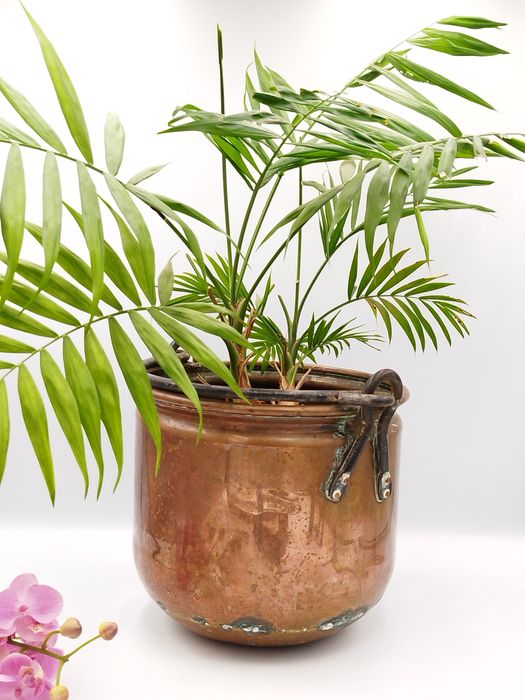 Голямо холандско медно котле, ръчно изковано с дръжка от ковано желязо