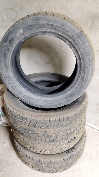 Шины покрышки зимние TRIANGLE