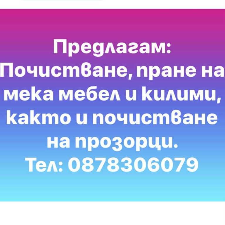 Професионално почистване