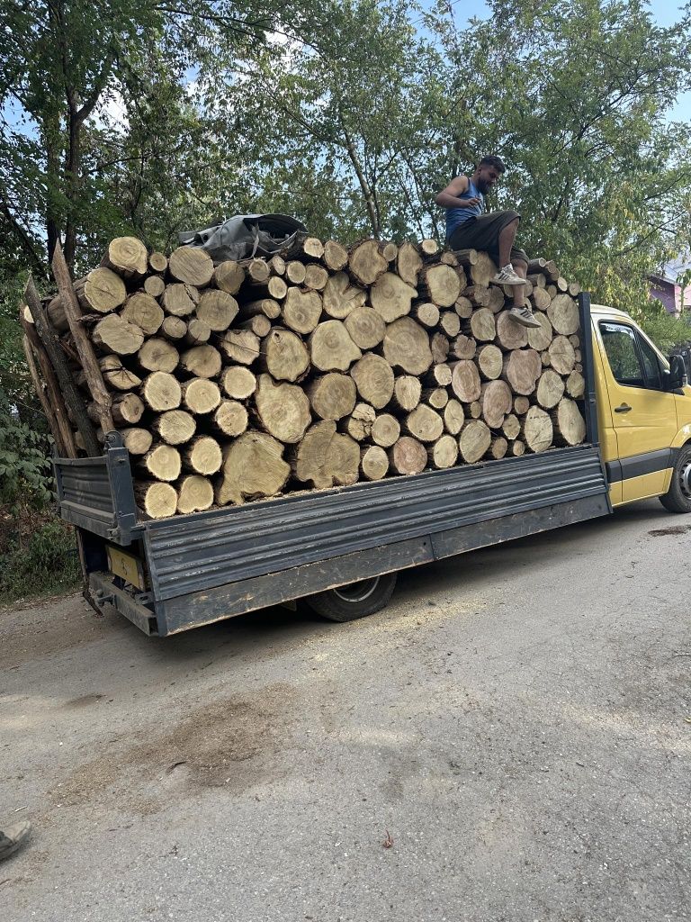 Vând lemn de foc esență tare fag carpen stejar salcam