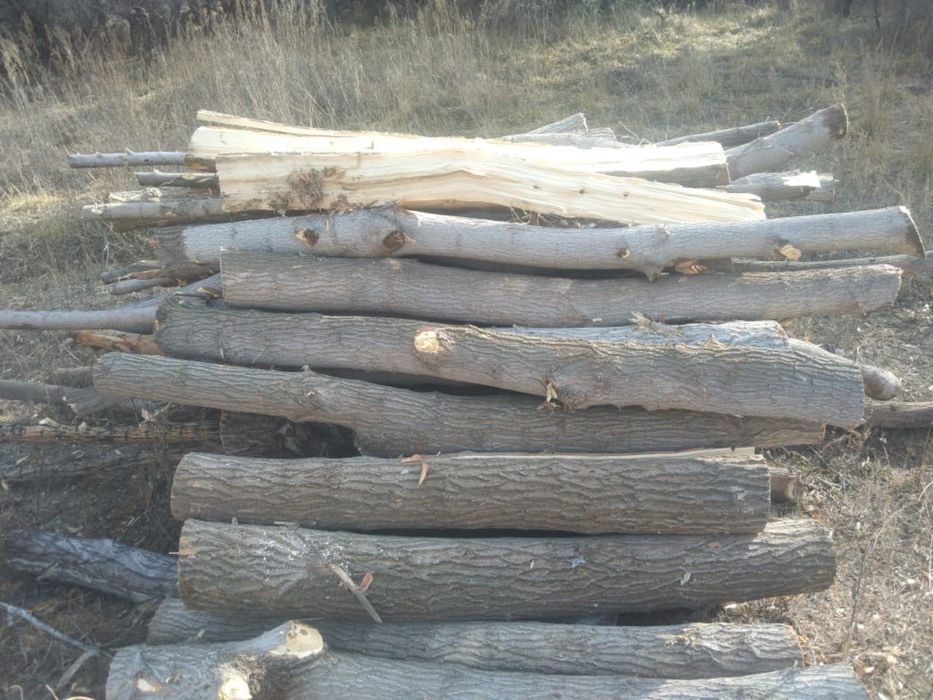 Продам дрова с доставкой12 тыс без 8 тыс