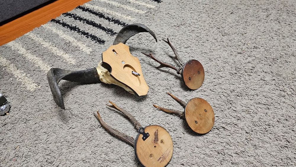 Un Frumos set de 4 panoplii