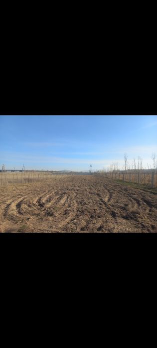 Участок 25 соток 20×125 метров