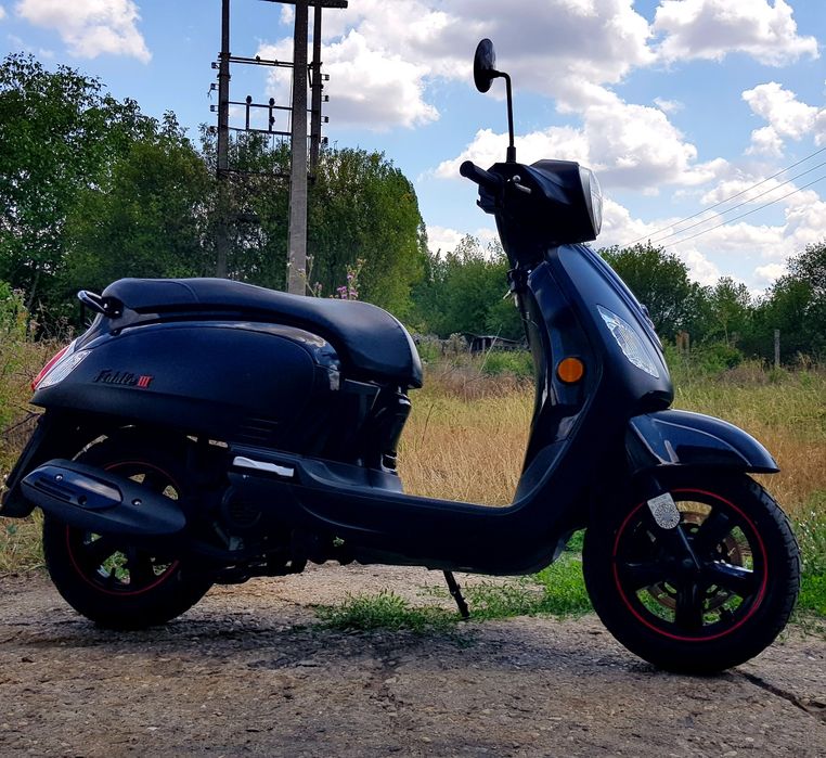 Sym fidele  50cm  3cp an 20