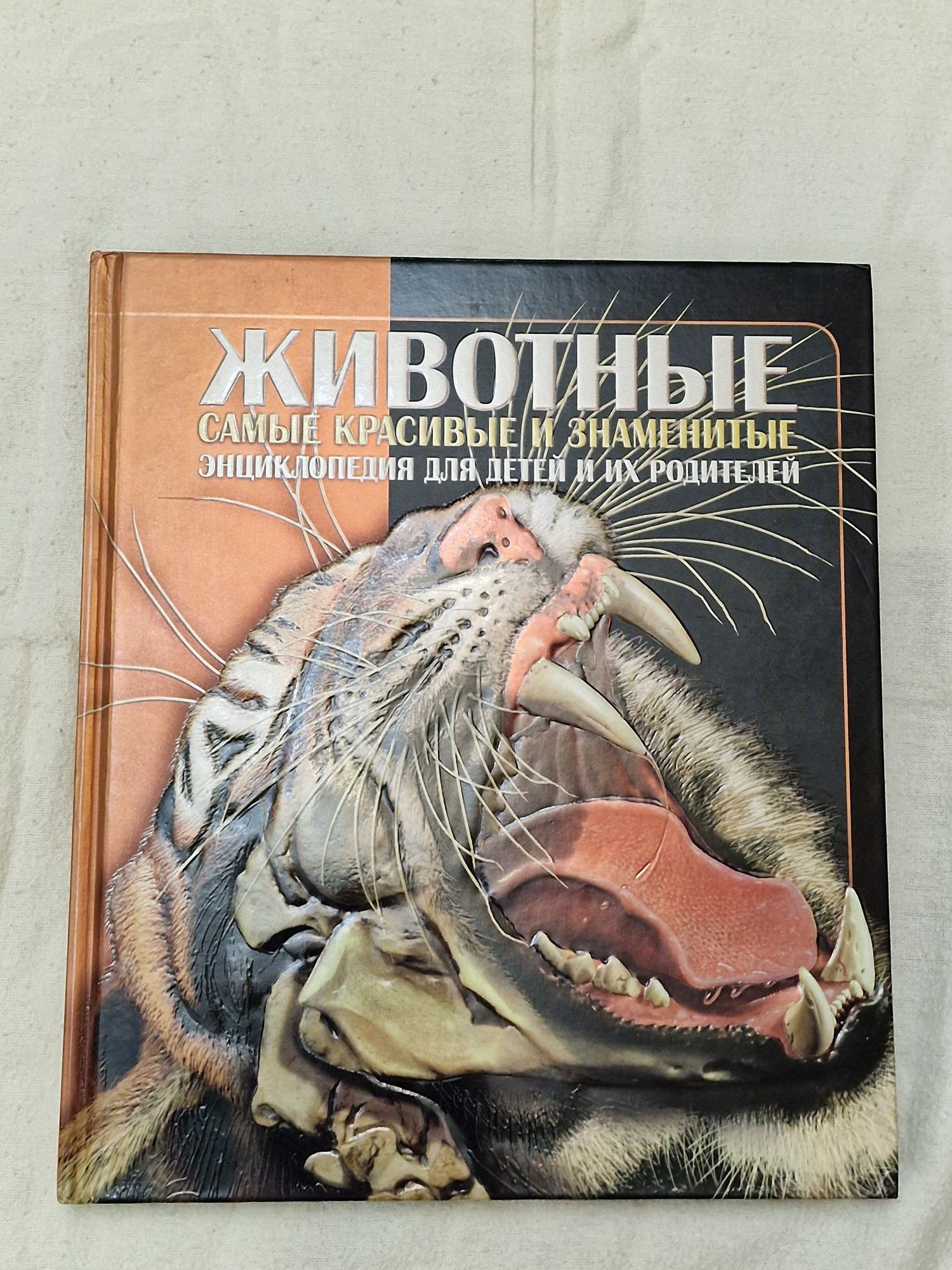 Энциклопедия для детей