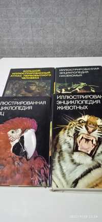 Книги о животном мире