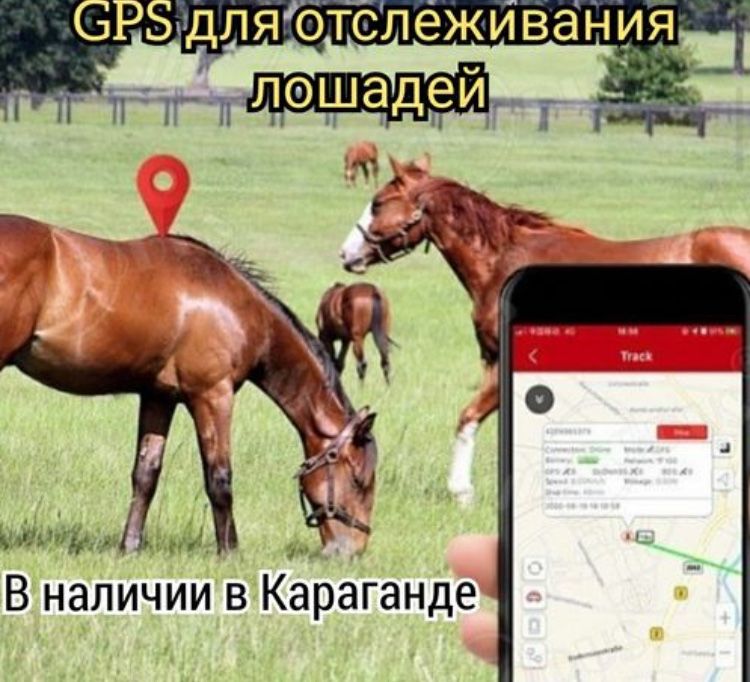 GPS трекер г.Караганда трекеры для слежения за лошадьми и машинами