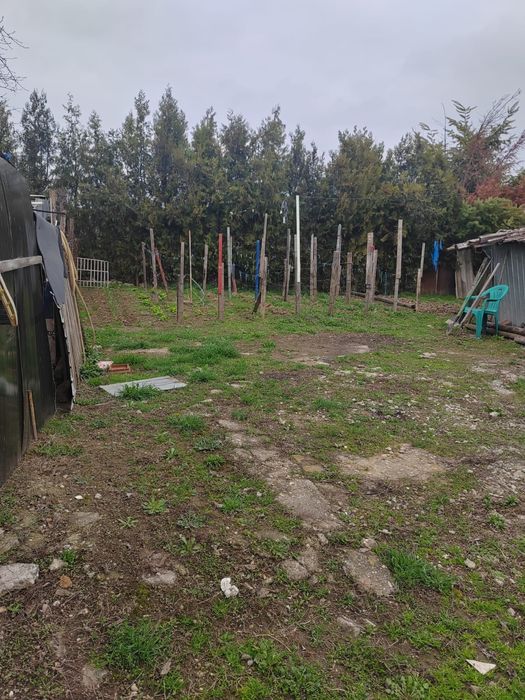 Vând casă in Giurgiu