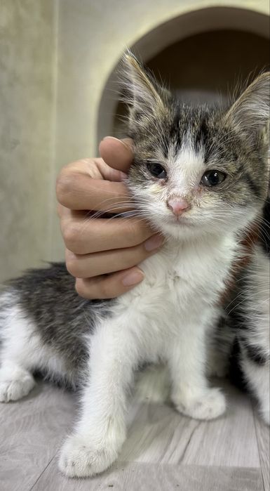 Мальчик ищет дом