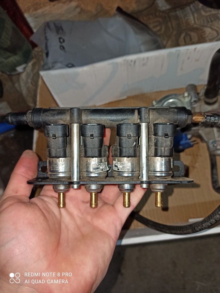 Tomasetto Nordic Xp i Barracuda
