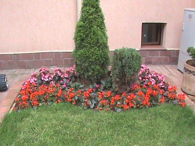 Озеленяване и Професионална Поддръжка на Вашия Двор!