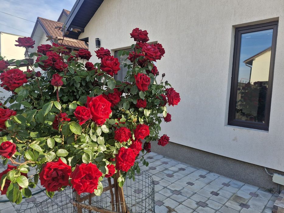 Casa DE VANZARE oras Pantelimon Ilfov( proprietar)