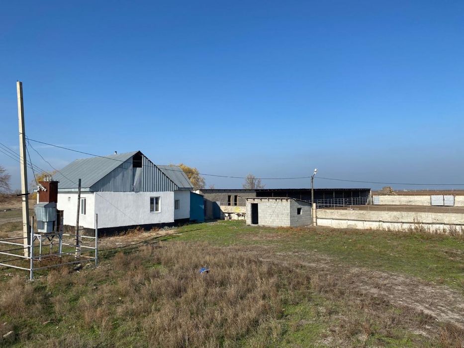 Продаю срочно 200га кх Маловодный,частная собственость