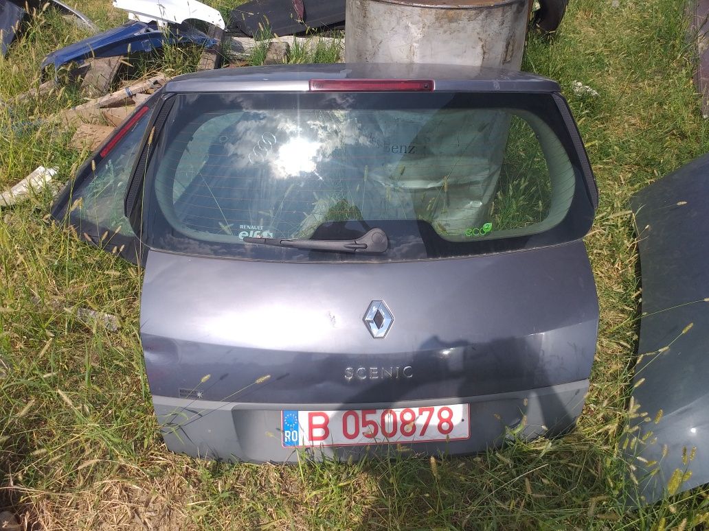 Haion Hayon Renault Scenic 2  - mic defect