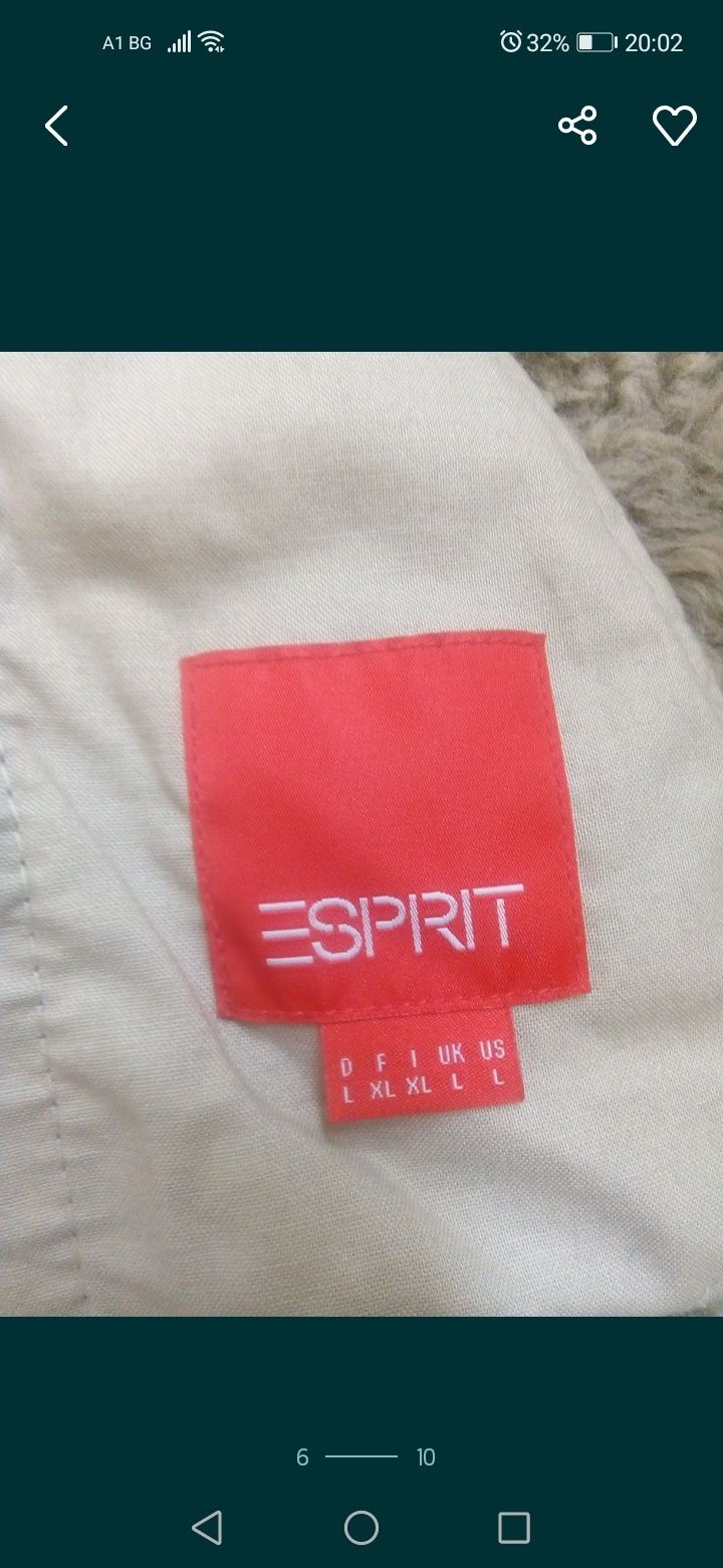 Красив Елек  Esprit