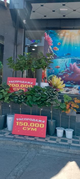 Искусственные цветы и деревья Суний гуллар ва дарахтлар