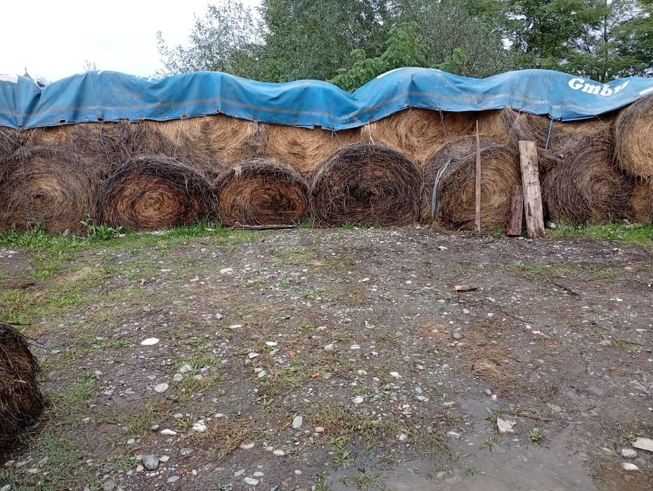 Baloți Fan și otavă