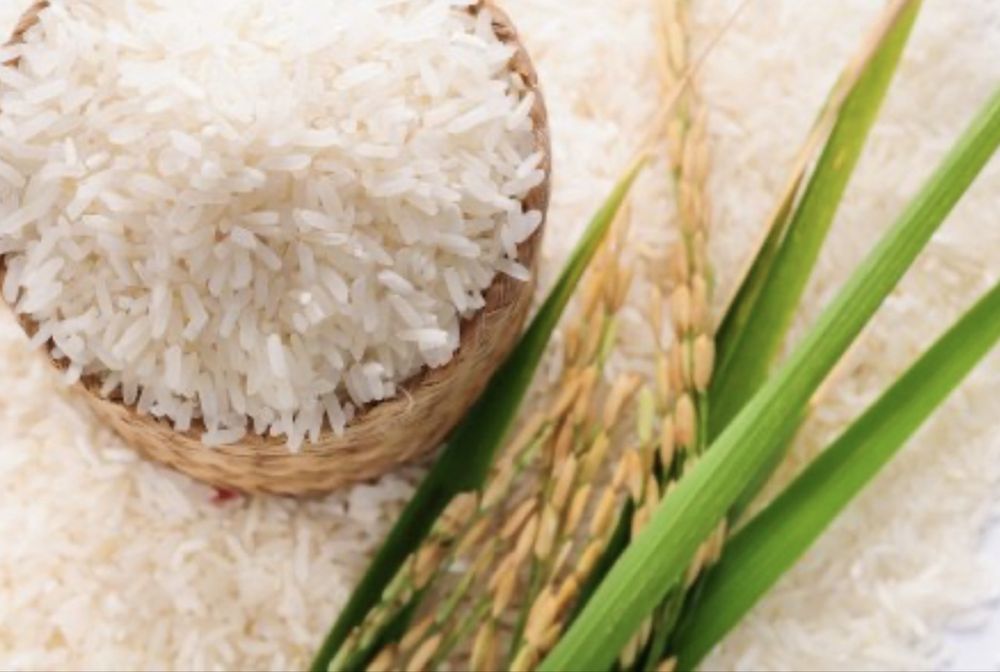 Күріш (Рис). Оптом.