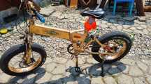 Bicicleta electrica Fido