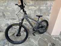 Cross Dexter 26