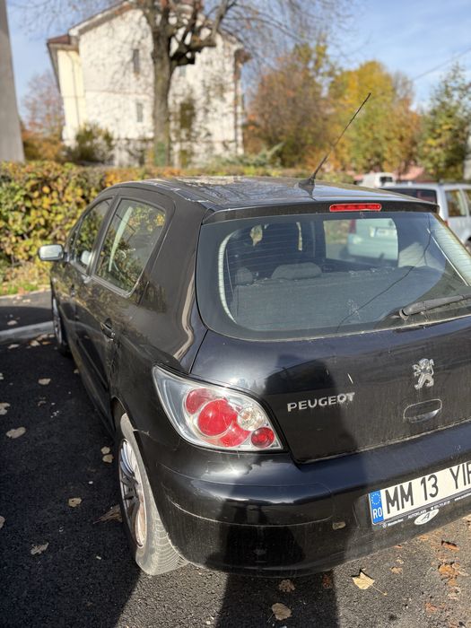 Vand Peugeot 307