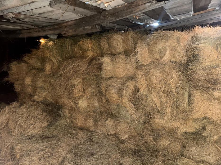 Продам сено тюковое