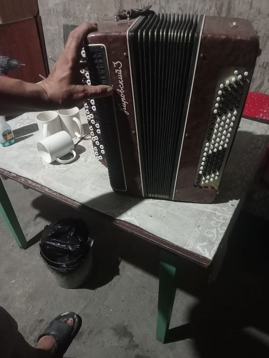 Баян. Кировская гармонь
