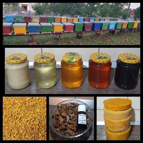 Miere și produse apicole