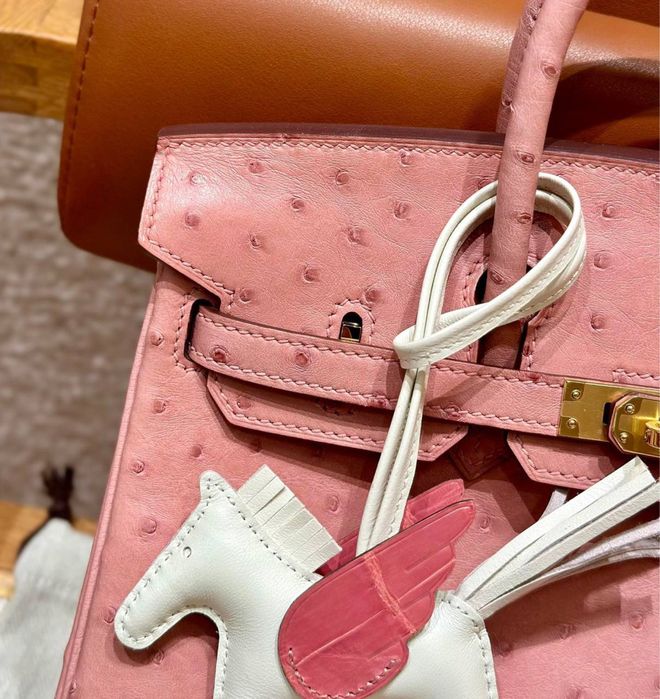Geanta Hermes Birkin Ostrich 25