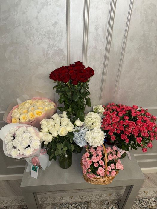 Цветы, продам срочно