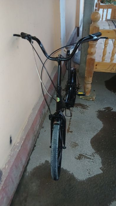 Velik skoris 7talik