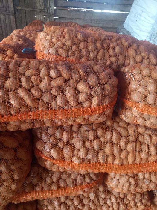 Cartofi mici pentru animale