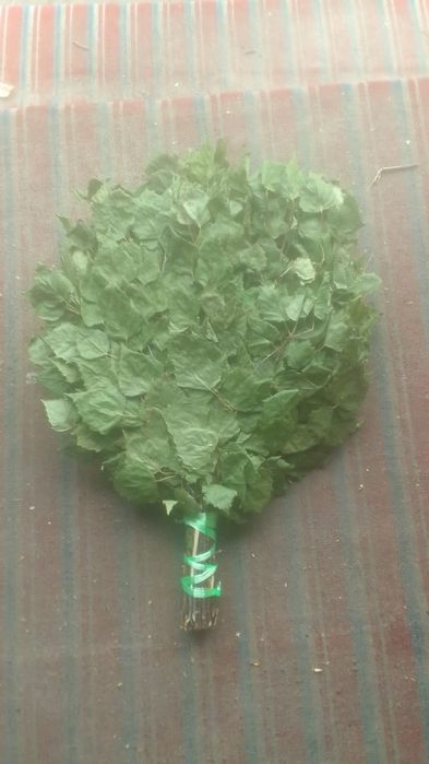 Веники берёзовые