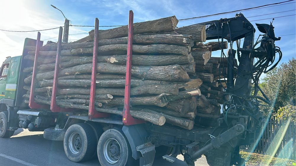 Lemn de foc FAG carpen STEJAR