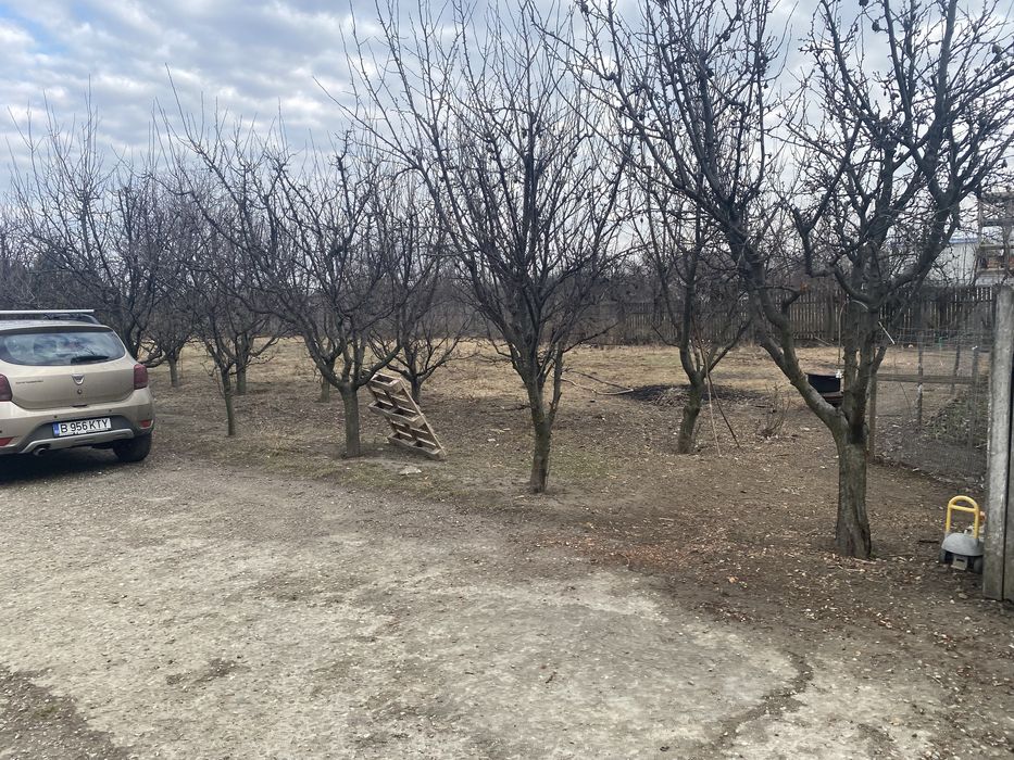 Teren de vanzare Vernesti