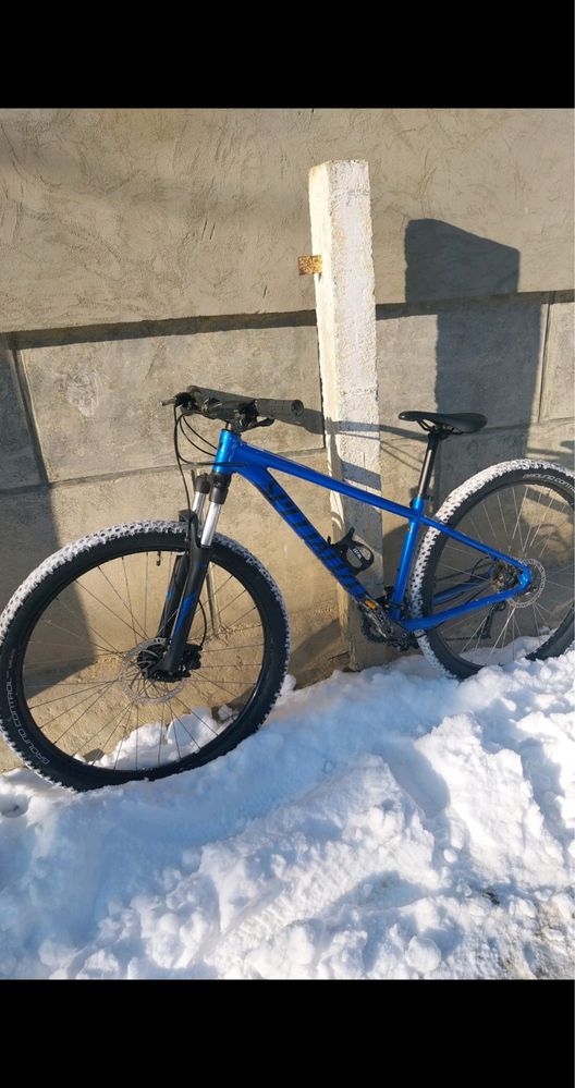 Specialized rockhoper