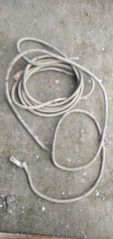 Mis kabel xolati yaxwi