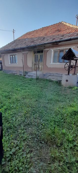 De vanzare  imobil : casa , bucatarie de vara , sura, gradina 30 ari