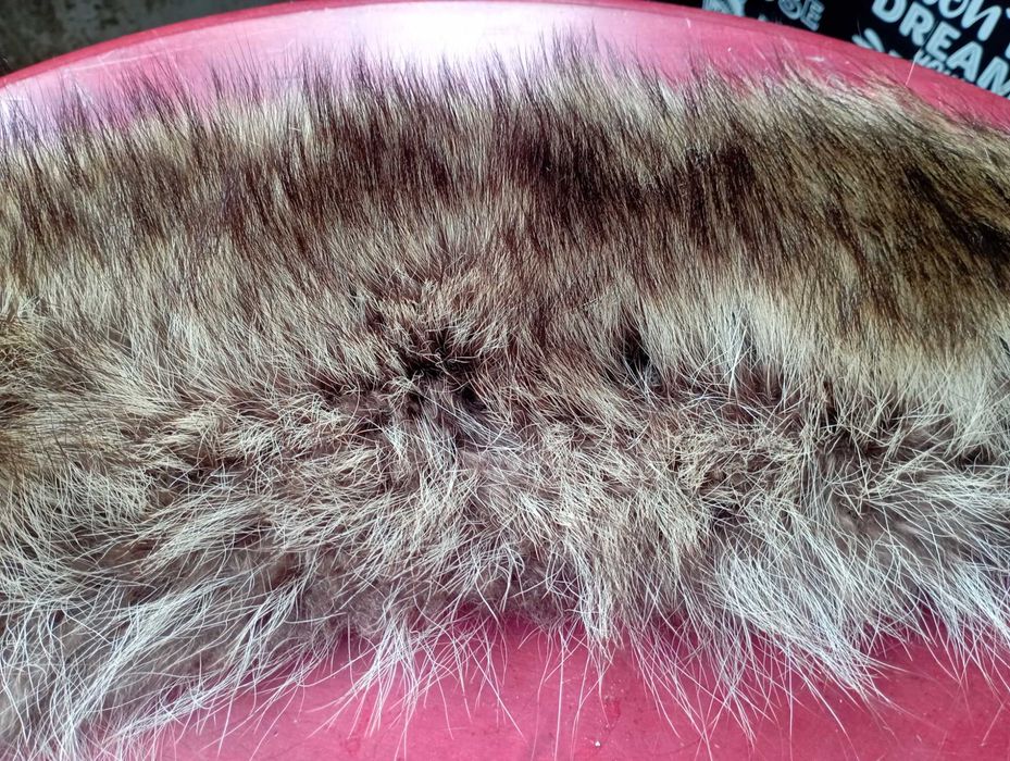 Яка от мечка 95 см