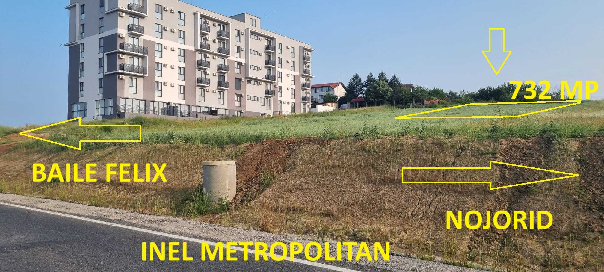 Vand 732 mp teren INTRAVILAN in Baile Felix zone inel metropolitan