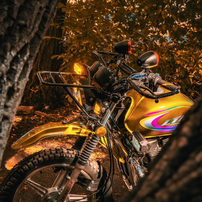 Мотоцикл LTM LT250-F9 Орал