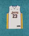 Maieu Nike Dri Fit Lakers NBA