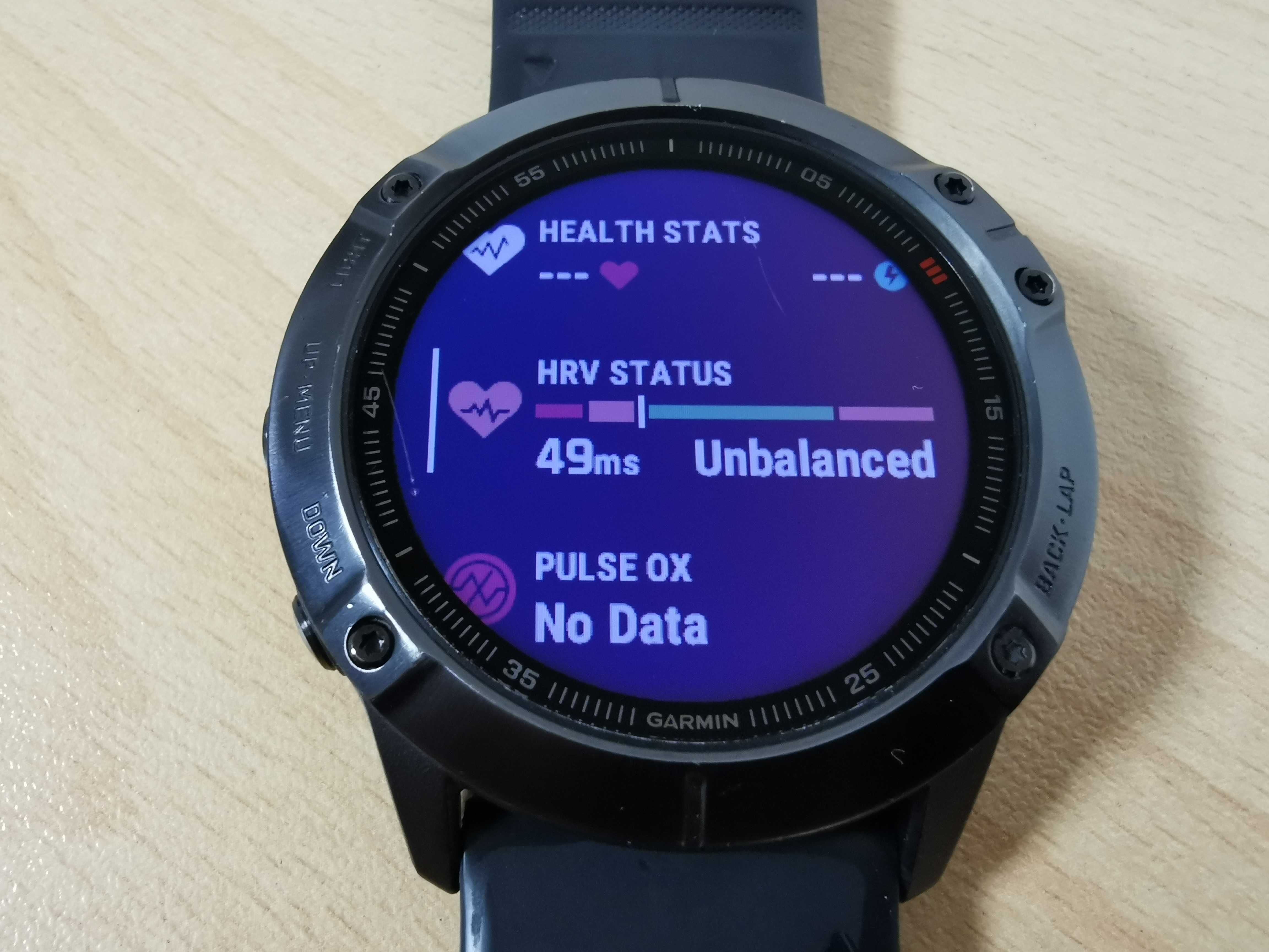 Garmin Fenix 6X Pro smartwatch